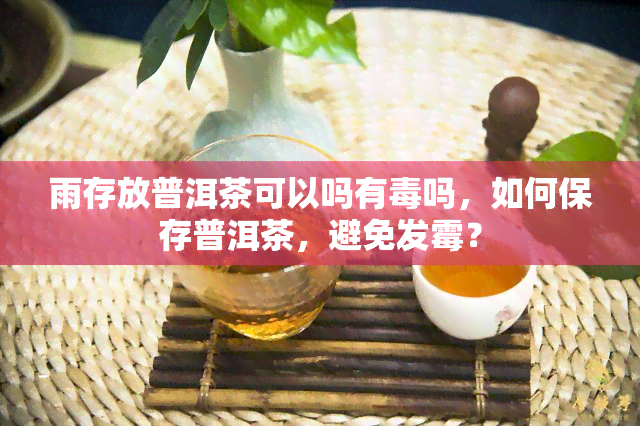 雨存放普洱茶可以吗有吗，如何保存普洱茶，避免发霉？