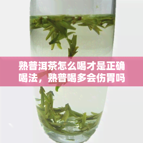 熟普洱茶怎么喝才是正确喝法，熟普喝多会伤胃吗