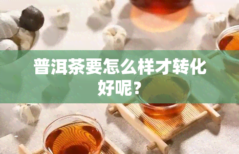 普洱茶要怎么样才转化好呢？