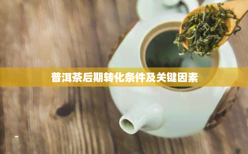 普洱茶后期转化条件及关键因素