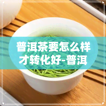 普洱茶要怎么样才转化好-普洱茶要怎么样才转化好喝