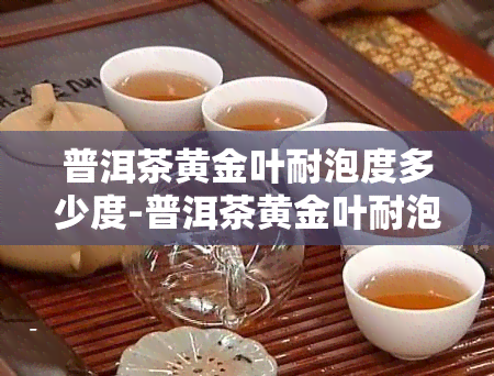 普洱茶黄金叶耐泡度多少度-普洱茶黄金叶耐泡度多少度的