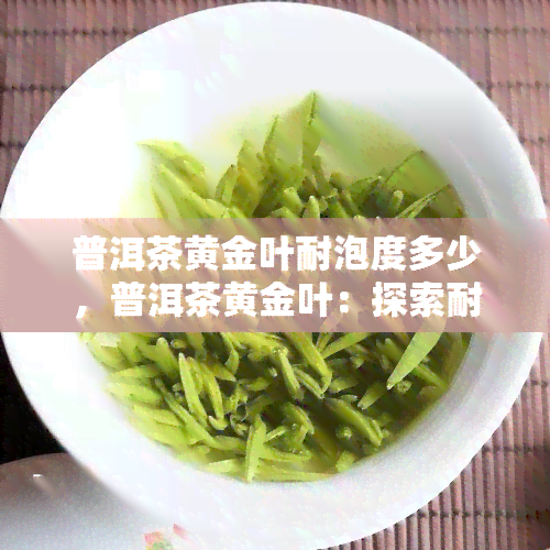 普洱茶黄金叶耐泡度多少，普洱茶黄金叶：探索耐泡度的秘密