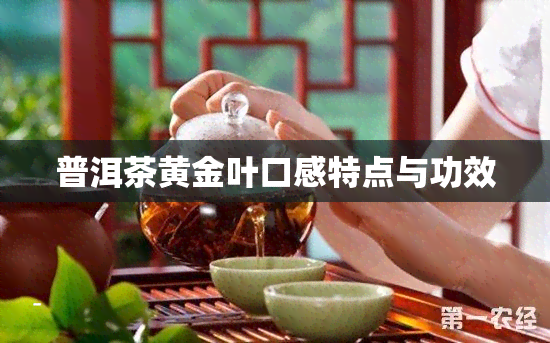 普洱茶黄金叶口感特点与功效