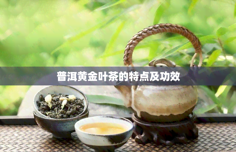 普洱黄金叶茶的特点及功效