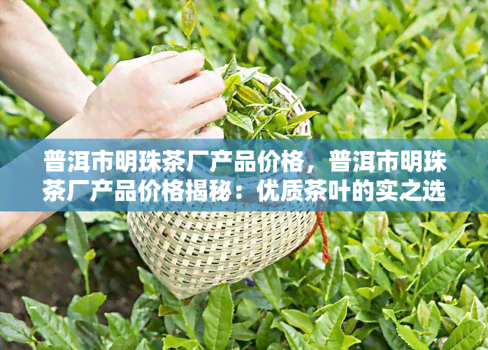 普洱市明珠茶厂产品价格，普洱市明珠茶厂产品价格揭秘：优质茶叶的实之选！