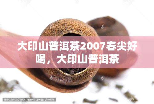 大印山普洱茶2007春尖好喝，大印山普洱茶