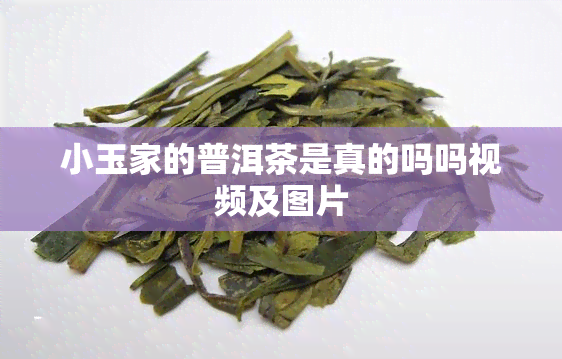 小玉家的普洱茶是真的吗吗视频及图片