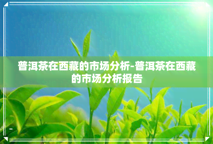 普洱茶在 *** 的市场分析-普洱茶在 *** 的市场分析报告