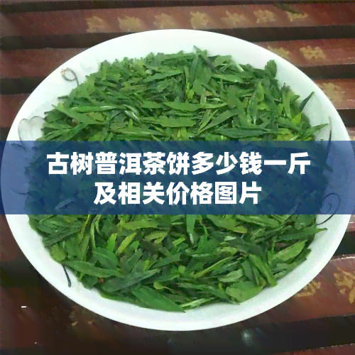 古树普洱茶饼多少钱一斤及相关价格图片