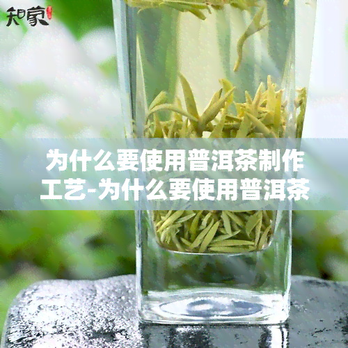 为什么要使用普洱茶制作工艺-为什么要使用普洱茶制作工艺呢