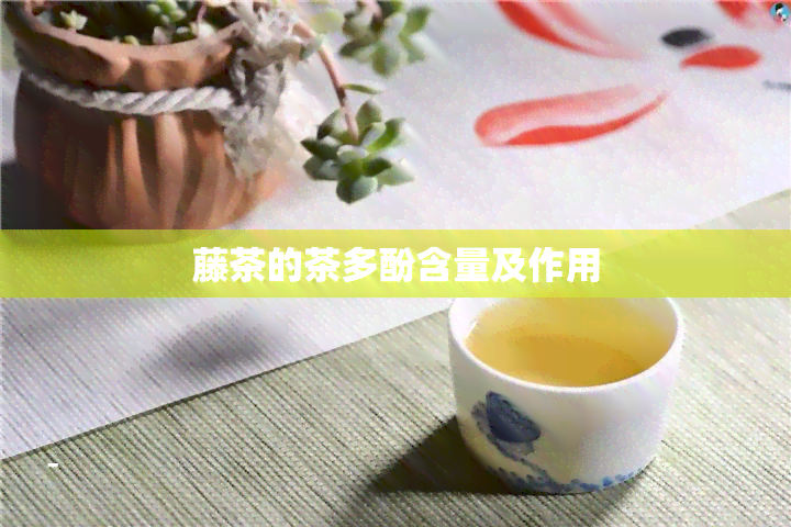 藤茶的茶多酚含量及作用