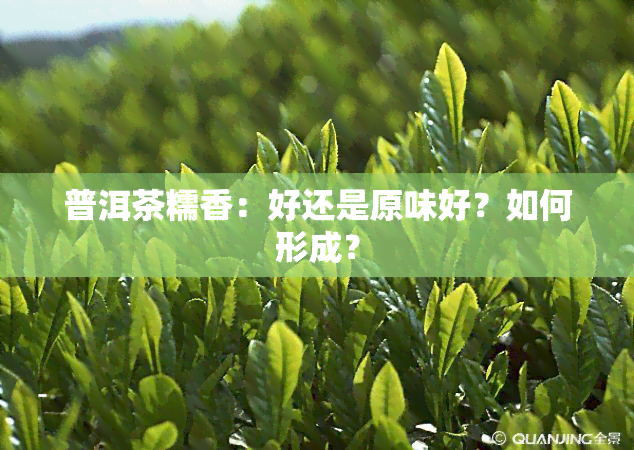 普洱茶糯香：好还是原味好？如何形成？