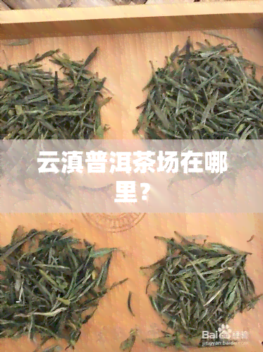 云滇普洱茶场在哪里？