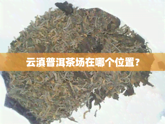 云滇普洱茶场在哪个位置？