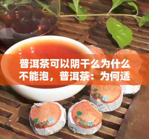 普洱茶可以阴干么为什么不能泡，普洱茶：为何适合阴干而不适合泡泡？