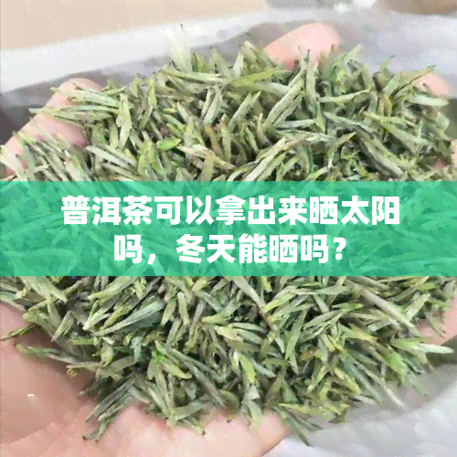 普洱茶可以拿出来晒太阳吗，冬天能晒吗？