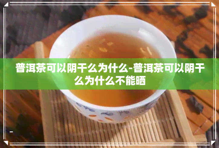 普洱茶可以阴干么为什么-普洱茶可以阴干么为什么不能晒