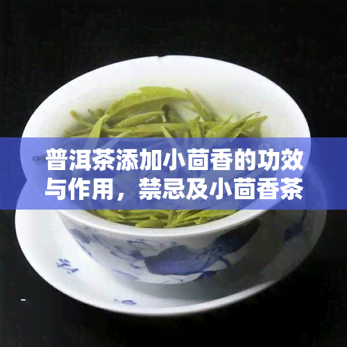 普洱茶添加小茴香的功效与作用，禁忌及小茴香茶的食用方法