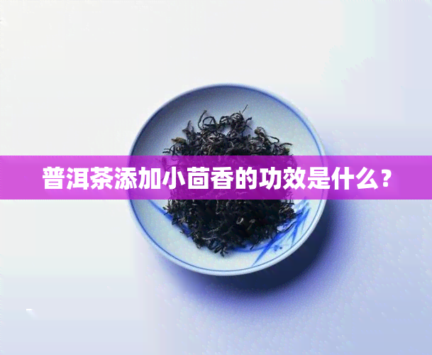 普洱茶添加小茴香的功效是什么？