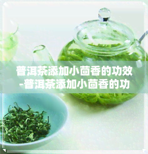 普洱茶添加小茴香的功效-普洱茶添加小茴香的功效与作用