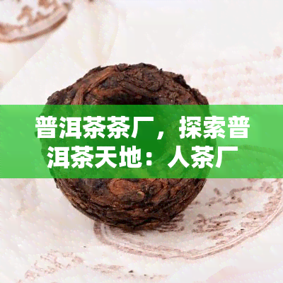 普洱茶茶厂，探索普洱茶天地：人茶厂的故事