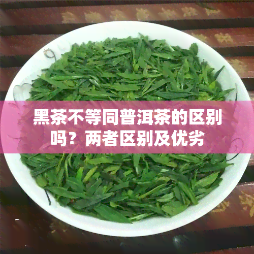 黑茶不等同普洱茶的区别吗？两者区别及优劣