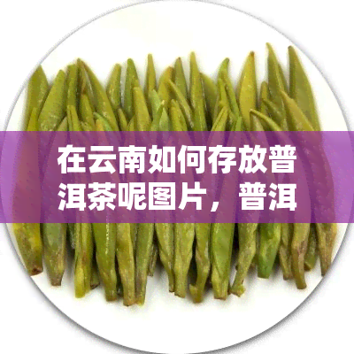 在云南如何存放普洱茶呢图片，普洱茶妙招：云南存放技巧揭秘（附图片）