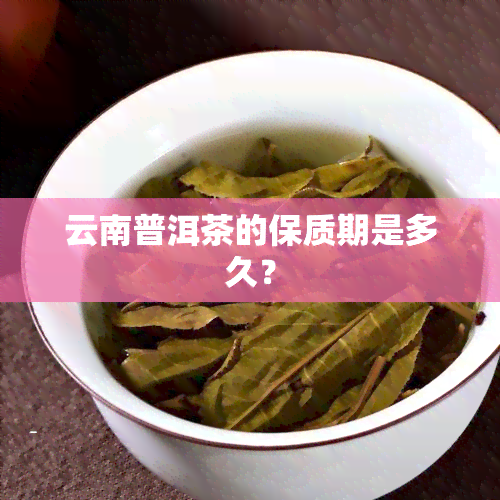 云南普洱茶的保质期是多久？