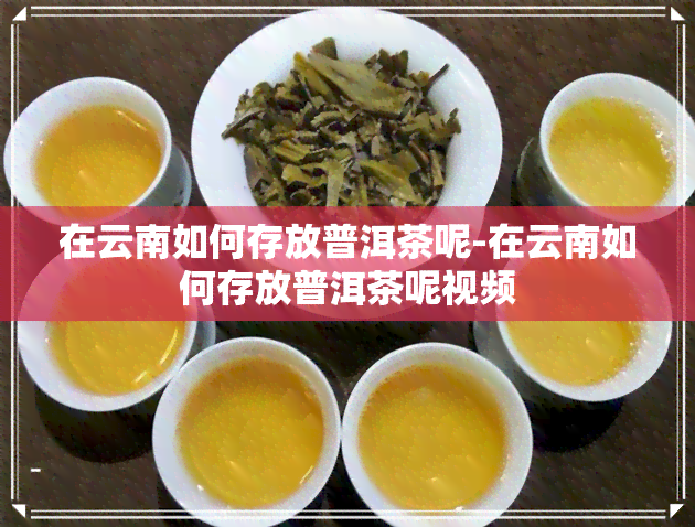 在云南如何存放普洱茶呢-在云南如何存放普洱茶呢视频