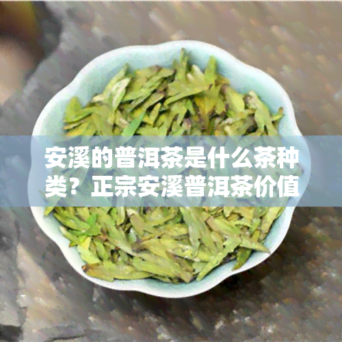 安溪的普洱茶是什么茶种类？正宗安溪普洱茶价值？