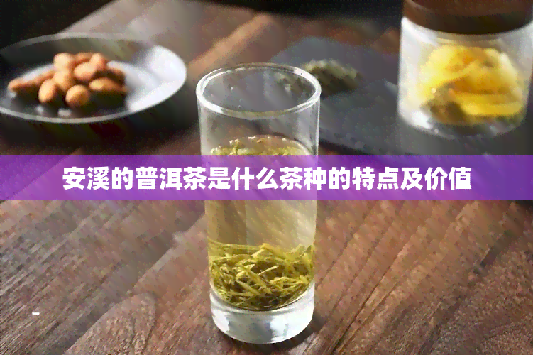 安溪的普洱茶是什么茶种的特点及价值