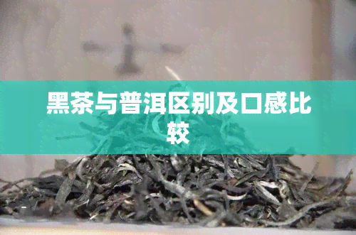 黑茶与普洱区别及口感比较