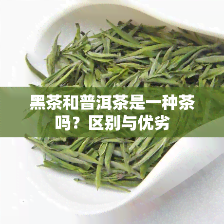 黑茶和普洱茶是一种茶吗？区别与优劣