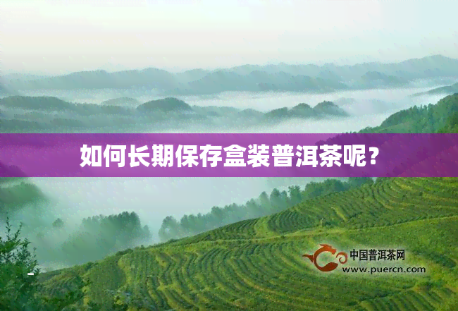 如何长期保存盒装普洱茶呢？