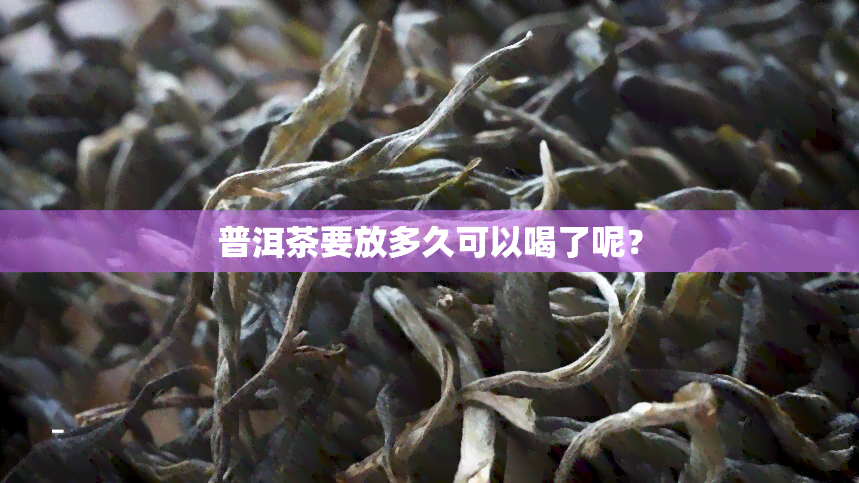 普洱茶要放多久可以喝了呢？