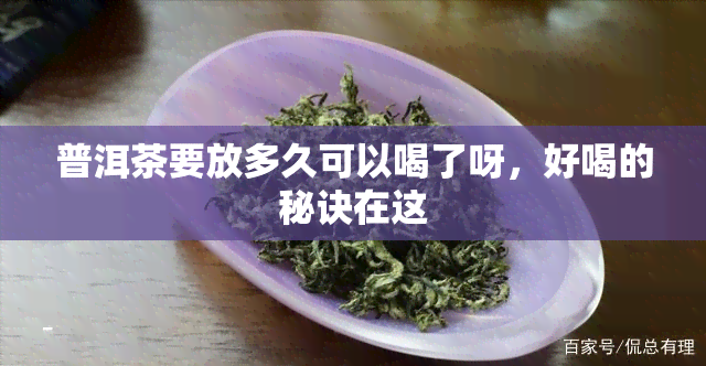 普洱茶要放多久可以喝了呀，好喝的秘诀在这