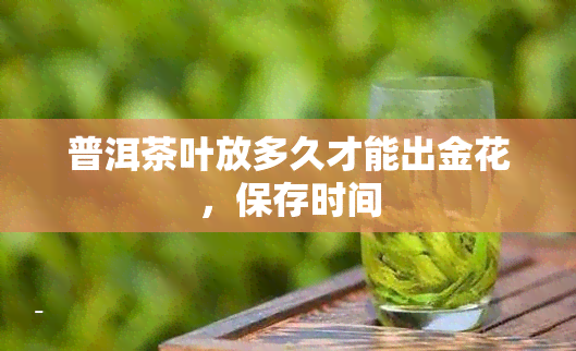 普洱茶叶放多久才能出金花，保存时间