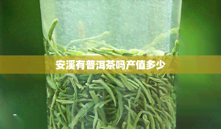 安溪有普洱茶吗产值多少