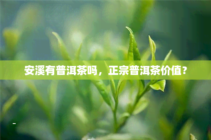 安溪有普洱茶吗，正宗普洱茶价值？