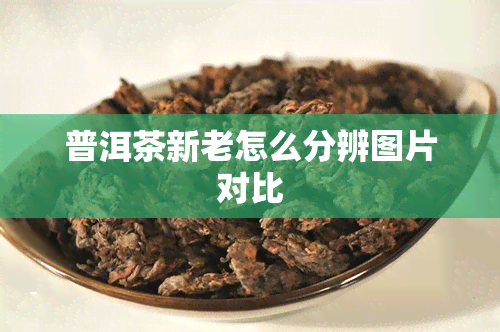 普洱茶新老怎么分辨图片对比