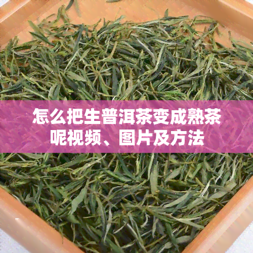 怎么把生普洱茶变成熟茶呢视频、图片及方法