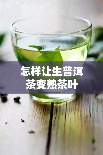 怎样让生普洱茶变熟茶叶