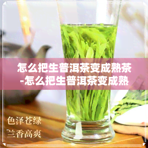 怎么把生普洱茶变成熟茶-怎么把生普洱茶变成熟茶叶