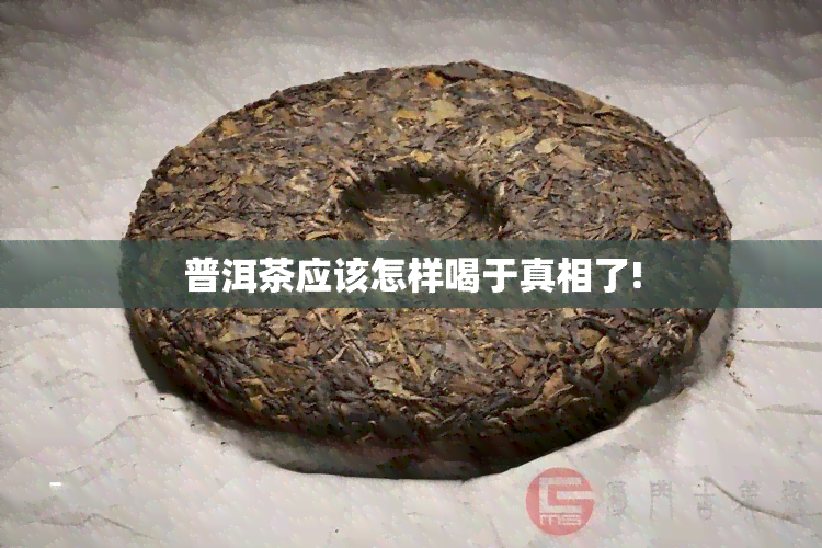 普洱茶应该怎样喝于真相了!