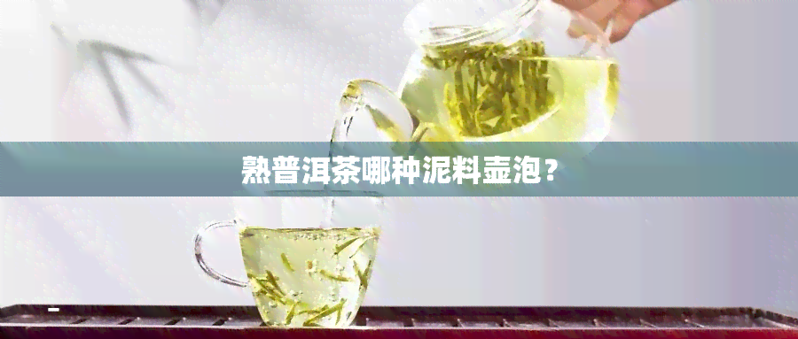 熟普洱茶哪种泥料壶泡？