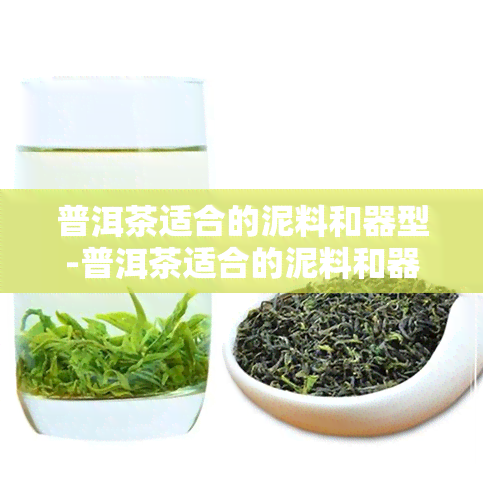 普洱茶适合的泥料和器型-普洱茶适合的泥料和器型有哪些