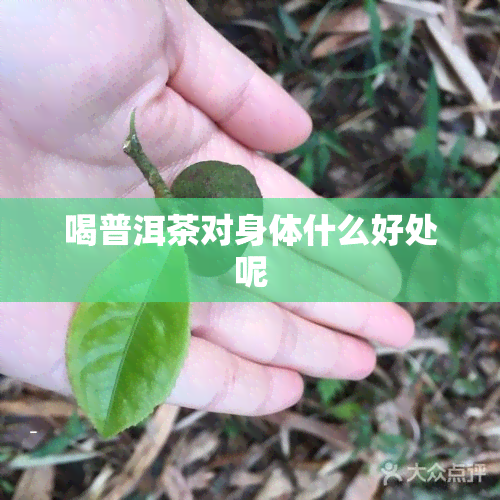 喝普洱茶对身体什么好处呢