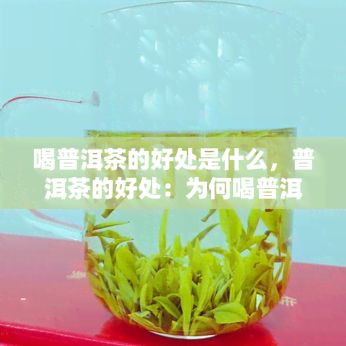 喝普洱茶的好处是什么，普洱茶的好处：为何喝普洱茶有益身心？