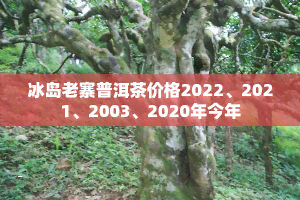 冰岛老寨普洱茶价格2022、2021、2003、2020年今年